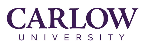 Carlow University Travel Portal